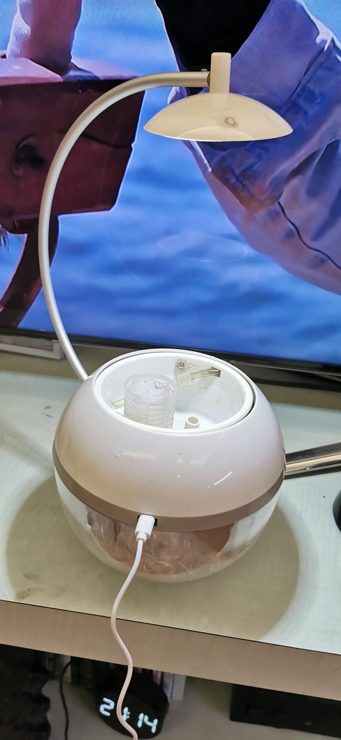 Herb & Fish 魚草共生迷你圓柱生態缸