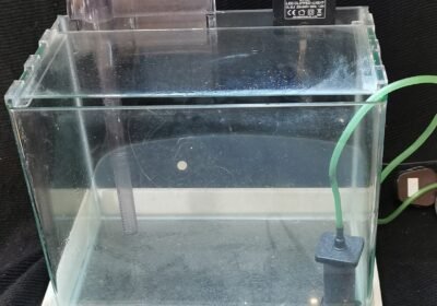 52-fish-glass-tank-圓角玻璃魚缸-入門套裝-30-19-27-100-
