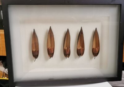 9-_-540-390-60-300-fd