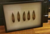 Black frame Dry Leaf Wall Art