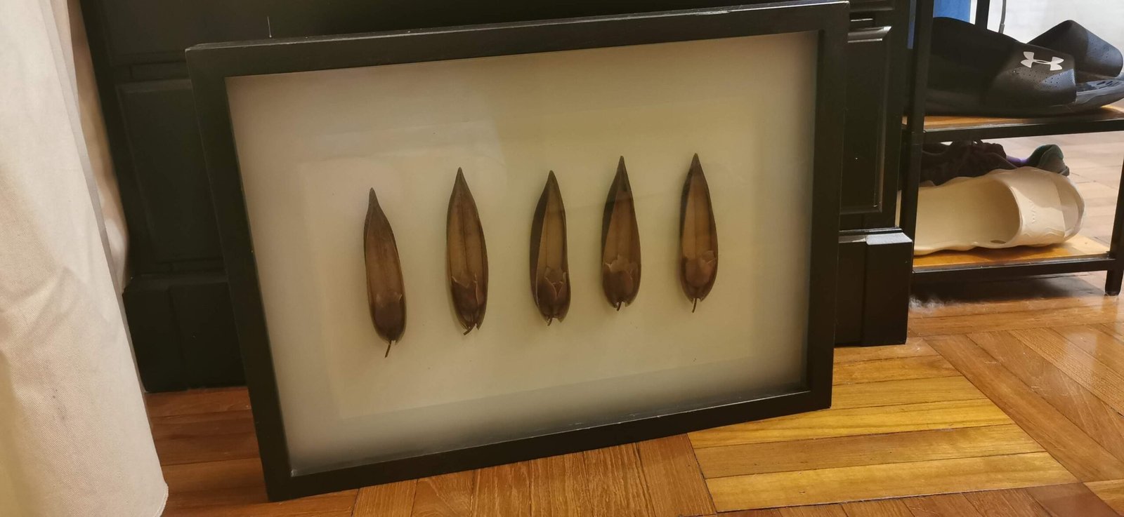 Black frame Dry Leaf Wall Art