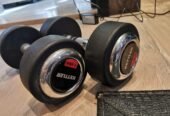 Kettler Dumbells